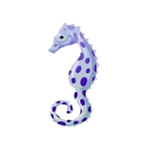 Indigo Pygmy Seahorse